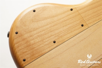 Platinum Series Single-Cut , e-volution 5 - Macassar Ebony